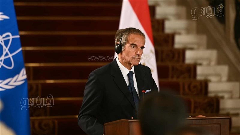 رافائيل جروسي المدير