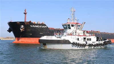 ميناء دمياط يستقبل سفينة البضائع العملاقة YANG FAN