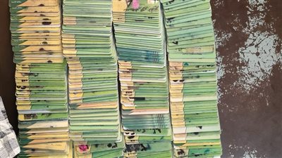 ضبط 1055 بطاقة تموينية مجمعة داخل مخبز بأسيوط