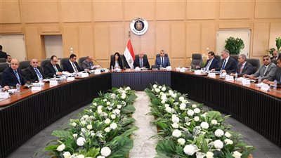 كامل الوزير: توجيه رئاسي بتخصيص حافز للراغبين في الاستثمار بالصناعات الواعدة 