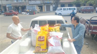 تموين الإسكندرية تضبط مستحضرات تجميل مجهولة المصدر