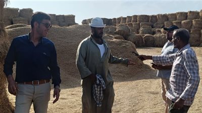 لجنة للمرور ومتابعة أعمال التصدي لحرق قش الأرز في الدقهلية 