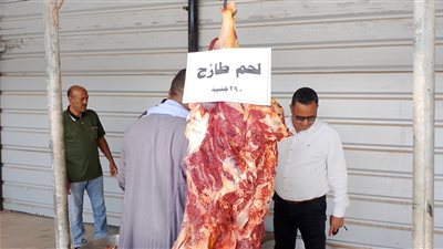الوادي الجديد تطرح لحوم بلدية بـ 290 جنيها 