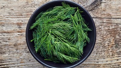 فوائد الشبت، يقوى المناعة والعظام ومهم لصحة المرأة 