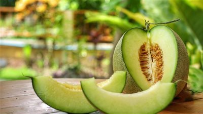  فوائد الكنتالوب، مهم لصحة الحوامل وينظم الهضم وينقص الوزن