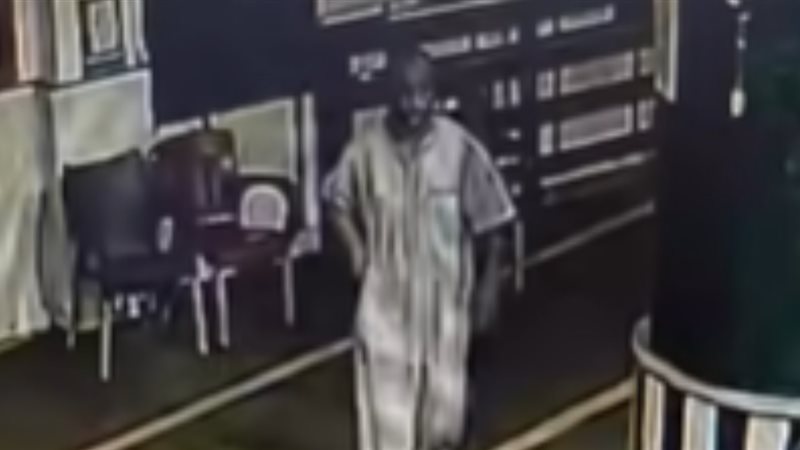 اللص، فيتو
