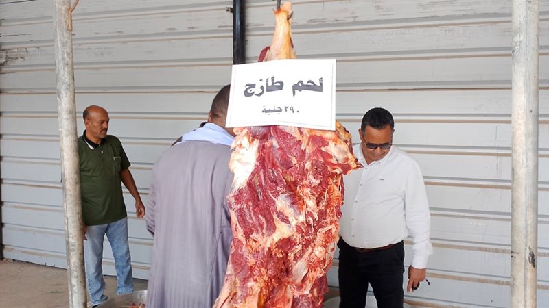 باريس الوادي الجديد،