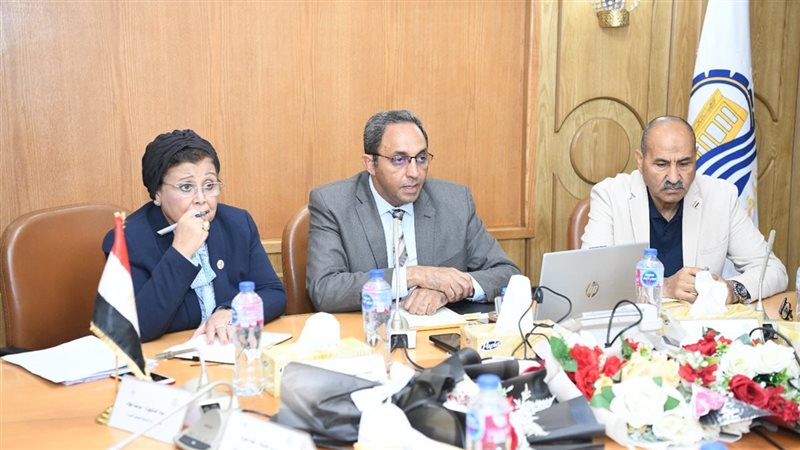 د.عبلة الألفي، فيتو