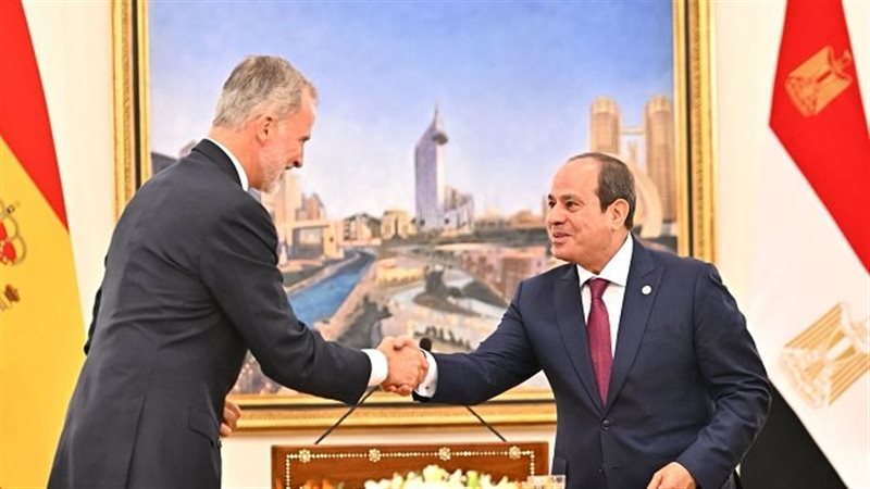 الرئيس عبد الفتاح