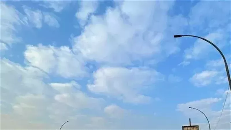 حالة الطقس غدا، فيتو