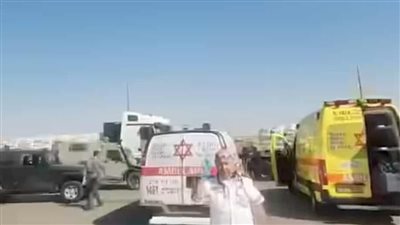  مقتل إسرائيليين في هجوم مسلح عند جسر الملك حسين (فيديو)