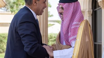  وزير الخارجية يبحث مع نظيره السعودي الأوضاع في غزة 