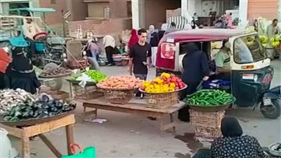 بسبب سوق الخضار، شاهد معاناة أهالي السنطة بعد غلق الشارع الرئيسي