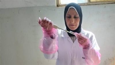 تحصين 3132 رأس ماشية ضد البروسيلا والسل البقرى بالشرقية