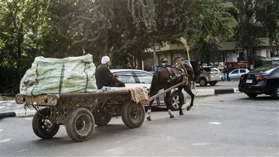إصابة 4 أشخاص من أسرة واحدة في انقلاب كارو بالوادي الجديد 