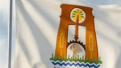 الوادي الجديد يطلق المشروع القومي للموهبة الحركية لاكتشاف الأبطال