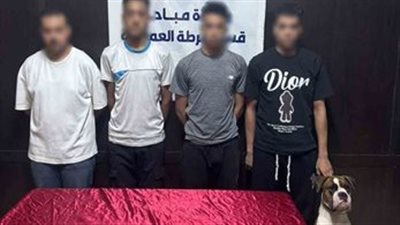 ضبط 4 أشخاص لتعاطيهم المخدرات وبحوزتهم كلب في الجيزة 