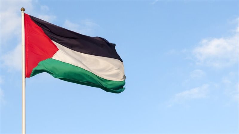 علم فلسطين، فيتو