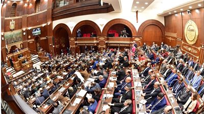 رفع جلسة الشيوخ.. والعودة للانعقاد 2 يناير 2022