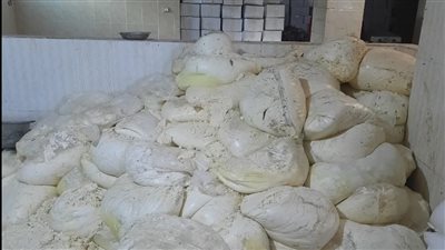 عشرات الأطنان.. كواليس ضبط مصنع يستخدم معجون الحوائط في صناعة الجبن بالمنوفية| فيديو