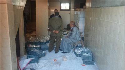 النيابة تصدر قرارا بضبط صاحب مصنع جبنة 