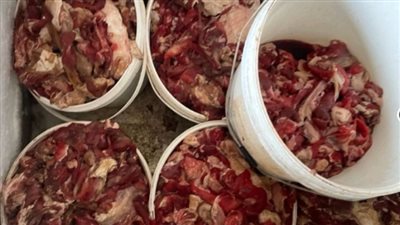 حملة تفتيشية على محال الجزارة.. وضبط لحوم فاسدة بالقليوبية 