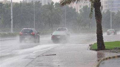 نصائح مهمة للقيادة الآمنة خلال الطقس السيئ | فيديو