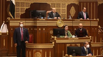 إحالة طلب مناقشة تغير المناخ للجنة الطاقة بالشيوخ.. وعياد: نعد بإعداد تقرير يليق بالمجلس