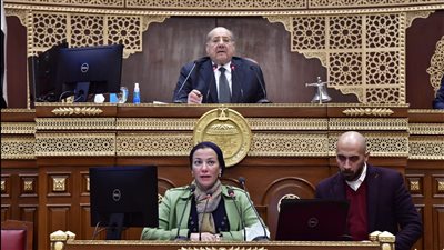 وزيرة البيئة عن تغير المناخ: إجمالي كمية مياه الأمطار خلال العام أصبحت تسقط في ساعتين 