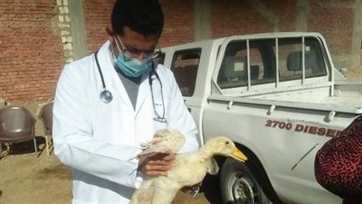 قافلة بيطرية من جامعة الزقازيق لقرية بني أيوب بأبو حماد