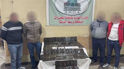 ضبط تشكيل عصابى بالمنوفية بحوزتهم 150 طربة حشيش