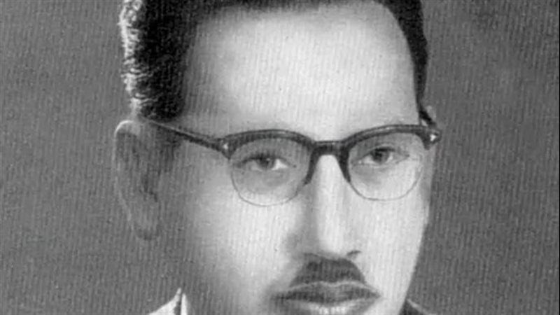 الكاتب الاديب على