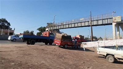 أخبار القليوبية: إنقاذ الطريق الزراعي من كارثة.. اعترافات المتهمين في واقعة فتاة كفر شكر 