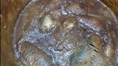 ضبط سردين وسمك غير صالح للاستهلاك بالمنوفية