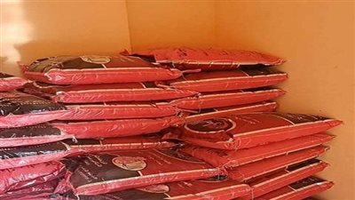 بالأرقام.. إجمالي فرص العمل التي وفرتها الشرقية ضمن برنامج مشروعك