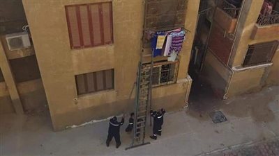 بسلم هيدروليكي.. الحماية المدنية تنقذ قطة عالقة داخل شرفة شقة مهجورة بالشروق|صور
