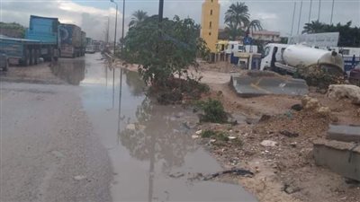  برك مياه.. انتشار سيارات شفط المياه بشوارع الإسكندرية| صور 