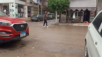أمطار متوسطة ورياح وطقس بارد يسود محافظة الدقهلية | فيديو وصور 