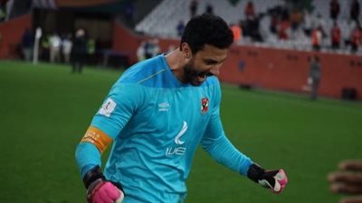 تصرف نادر.. الشناوي يلقي بميدالية السوبر لجمهور الأهلي في مدرجات أحمد بن علي| صور