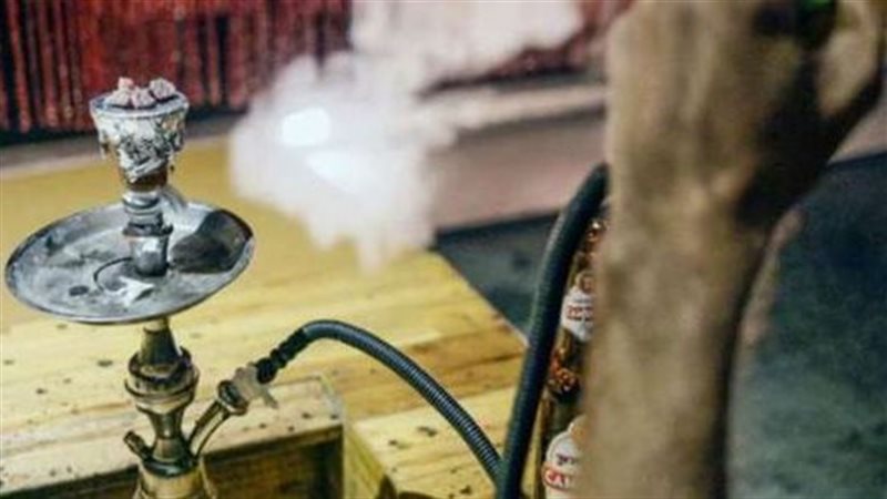 اسعار المعسل ترتفع،