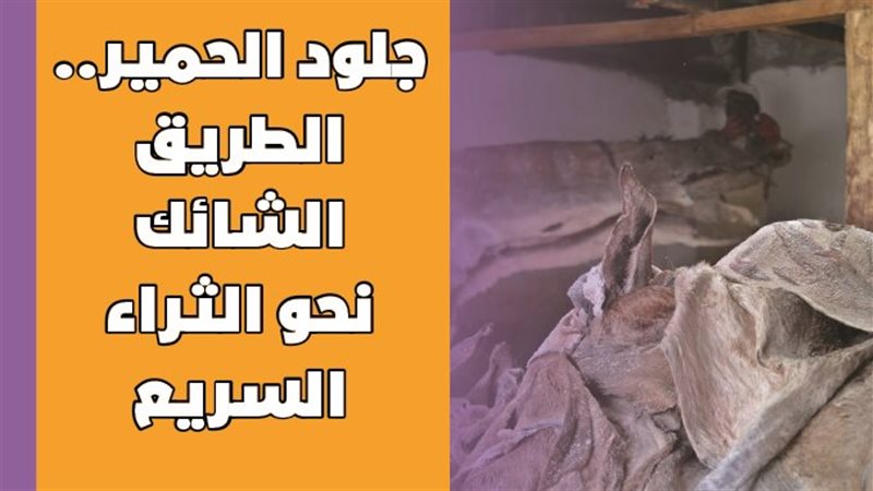 جلود الحمير..الطريق