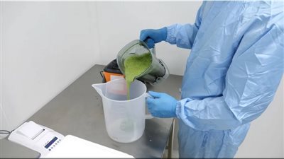 علماء يطورون أسرع لقاح مضاد لكورونا من أوراق التبغ في وقت قياسي 