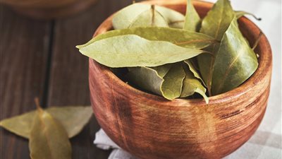 فوائد ورق اللورا.. يسيطر على مرض السكر ويحسن المزاج