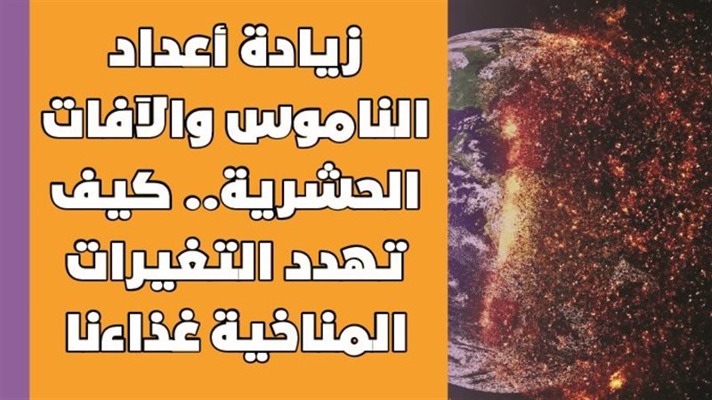 زيادة أعداد الناموس