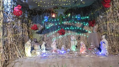 كنائس الأقصر تتزين بشجرة الكريسماس احتفالا بعيد الميلاد|صور