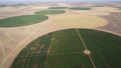 وزير الزراعة: الدولة تعمل على استصلاح 4.5 مليون فدان خلال السنوات المقبلة