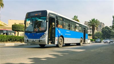 ما عدد الأتوبيسات المرخصة فى مصر ؟ الإحصاء يجيب 