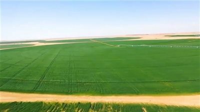 وزير الري الأسبق يكشف سبب فشل مشروع توشكى في عهد مبارك