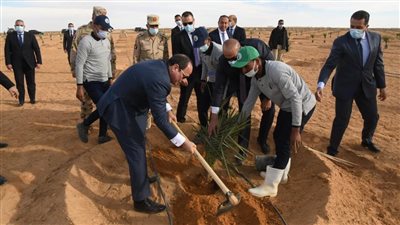  الرئيس السيسي وبعض الوزراء يزرعون أشجار النخيل الفاخر في توشكي وسط شباب العاملين