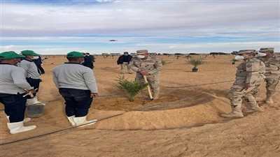شاهد.. وزراء الدفاع والداخلية والكهرباء يزرعون أشجار النخيل الفاخر في توشكي